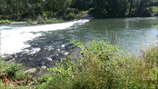 Panis angelicus César Franck - Maurice Cazalet Lavigne 2007