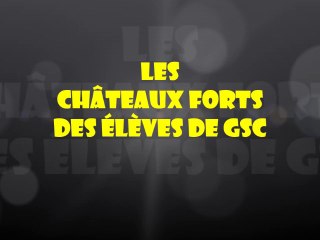 Les châteaux forts