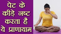 Yoga Pranayama for Stomach Worms | पेट के कीड़े नष्ट करता है ये प्राणायाम | Boldsky