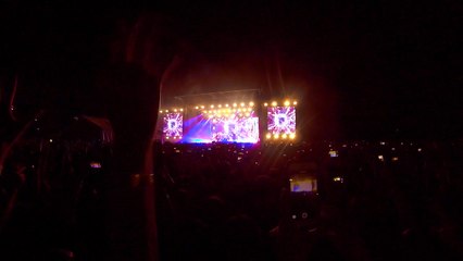 avicii japan tour 2016 wake me up