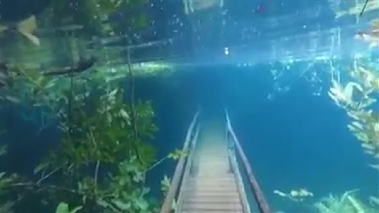 Versteckte Welten: Brasiliens Unterwasser-Wanderwege