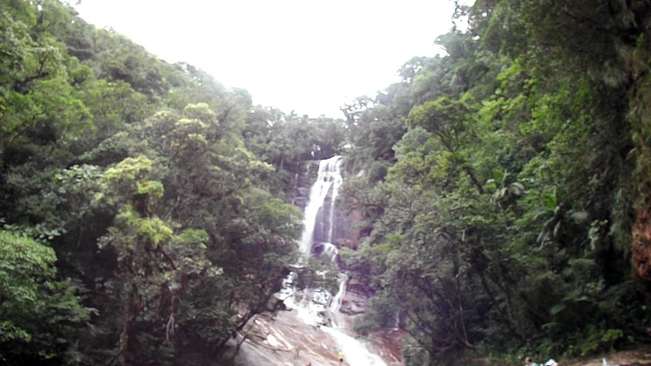 salto dos macacos