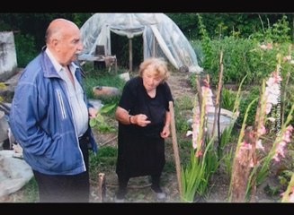 Nadrilekari ili naučna medicina?, 17. februar 2018. (RTV Bor)