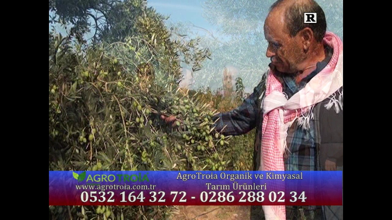 362 Osmaniye / AgroTroia