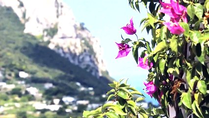 Spectacular View of AMALFI COAST