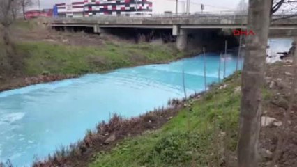 Kocaeli Atığın Döküldüğü Dere Masmavi Oldu Hd