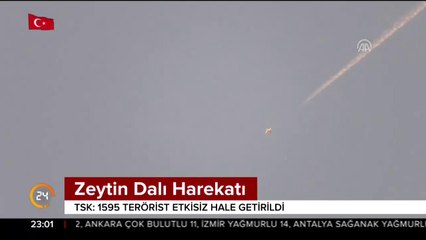 Zeytin Dalı Harekatı