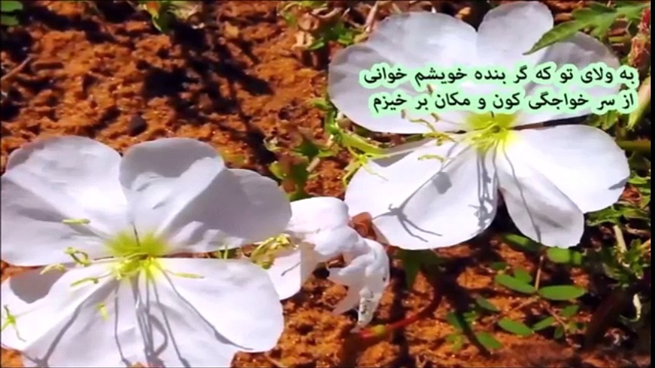 حافظ -  مژده وصل تو کو تا کز سر جان بر خیزم .......... Hafez