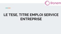 Le TESE, Titre Emploi Service Entreprise