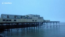 Thousands of starlings burst out from under The Royal Pier in Aberystwyth