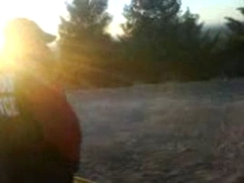 Moto Bertho