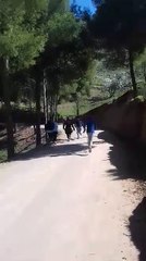 Course  dans la descente sur le retour de la randonnée