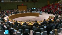 مجلس الأمن يفشل في تمديد التحقيق حول استخدام الأسلحة الكيميائية في سوريا