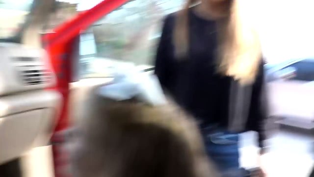 Giving Away This Truck to a Fan!!!!