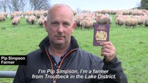 'Voices of Brexit' - the British sheep farmer