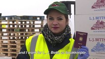 'Voices of Brexit' - the Romanian UK farmworker