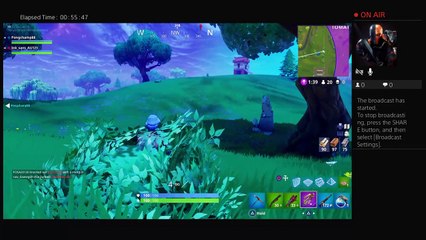 Fortnite Broadcast with freinds (4)