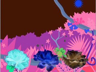 Baby Einstein - Baby's First Sounds in G Major