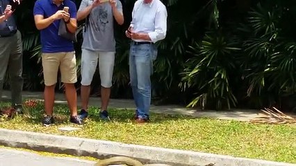 Mira la pelea entre cobra real y serpiente pitón en una universidad