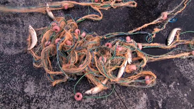 Van Gölü’nde yaşayan inci kefali balığı tescillendi