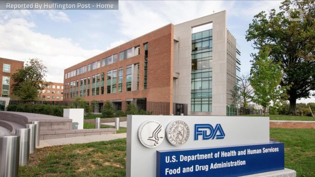 Major Dog Food Brands Recalled Over Possible Euthanasia Drug Contamination