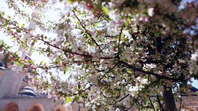 الشاعر عبدالحكيم اليوسف يرثي والدته بهذه القصيدة المؤثرة