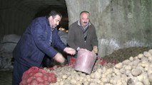 Ürünü depoda kalan patates üreticisi teşvik bekliyor - NEVŞEHİR