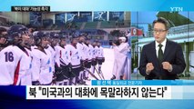 북미 탐색 대화 외교전, 이번주 본격화 / YTN