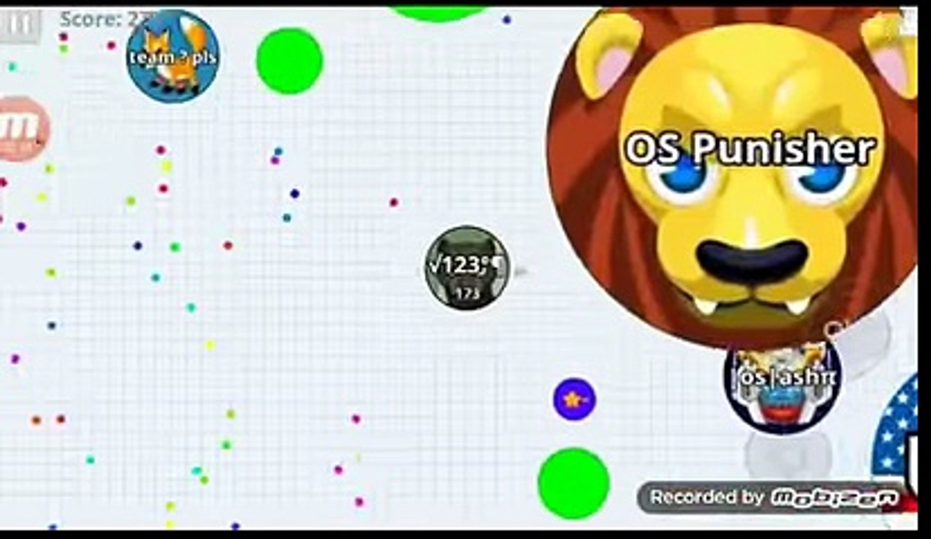 agar.io game play