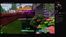 Fortnite Solo, duos, and squads stream (5)