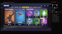 Erster Stream Fortnite battle Royale (3)