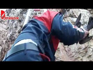 Urfa’da Güvercin Kurtarma Operasyonu