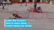 The Robot Ski Olympics