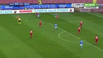 Allan Goal HD - Napoli 1-0 Spal 18.02.2018