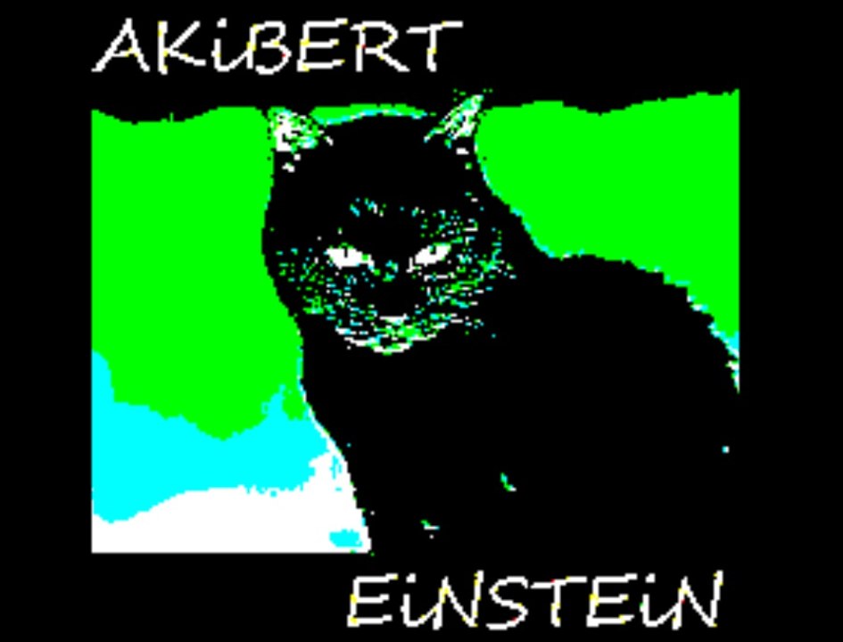 AKiBERT EiNSTEiN - Du trägst keine Liebe in dir