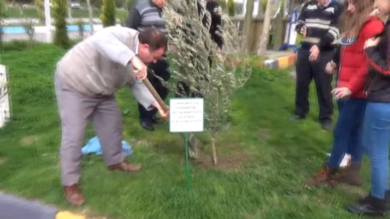 Söke'de Afrin Şehitlerinin Anısına Zeytin Fidanı Dikildi