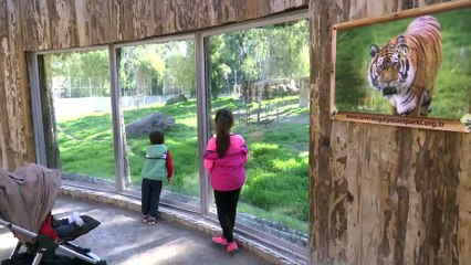 Doğal Yaşam Parkına ziyaretçi akını - İZMİR