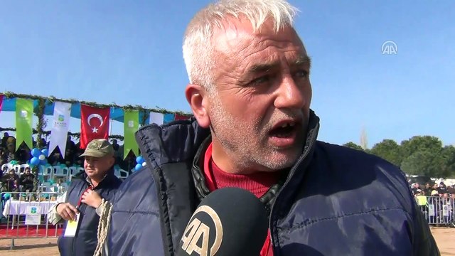 4. Geleneksel Balıkesir Büyükşehir Belediyesi Deve Güreşi Festivali - BALIKESİR