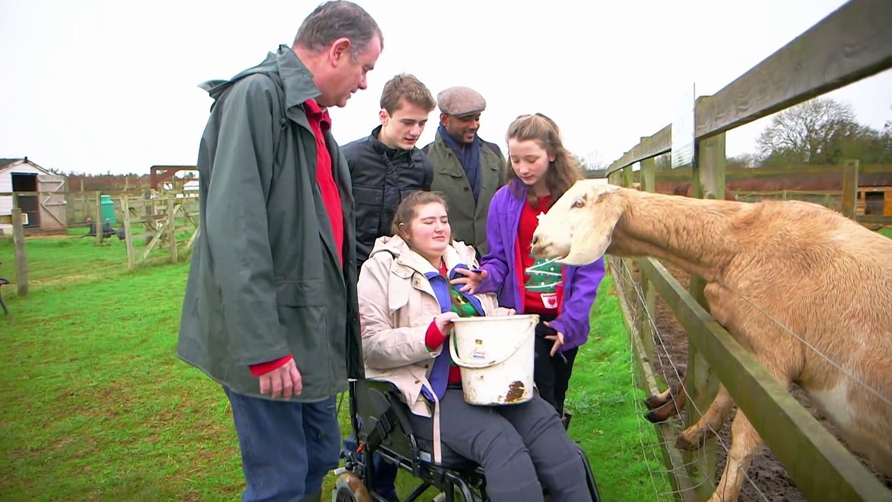 CBeebies  Down On The Farm - Family Farm