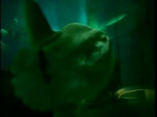 Acquario di Genova - 1a parte