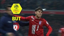 But Luiz ARAUJO (81ème) / LOSC - Olympique Lyonnais - (2-2) - (LOSC-OL) / 2017-18