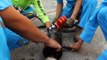 Maejo Team Rescues Puppy Stuck in Iron Pipe || ViralHog