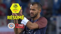 Montpellier Hérault SC - EA Guingamp (1-1)  - Résumé - (MHSC-EAG) / 2017-18