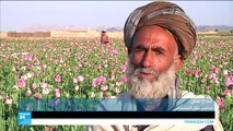أفغانستان: زراعة الخشخاش مصدر رزق للفقراء
