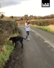 Cet enfoiré balance un sac plein de crottes de chien sur sa copine... La pauvre
