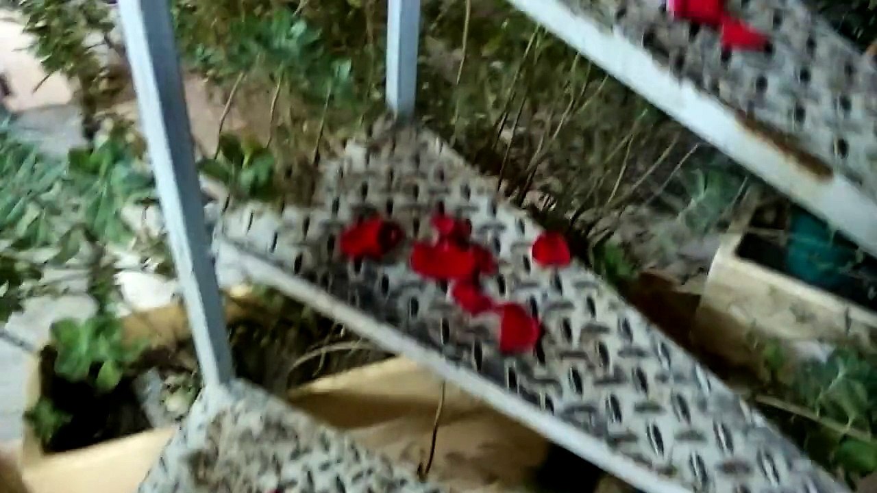 Quand ta copine t'a préparé une jolie surprise... ahaha