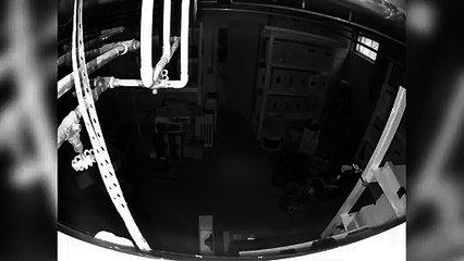 Si te buscan los SWAT este es el truco definitivo para escapar