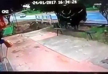 A melhor propaganda que a Coca-Cola fez até hoje