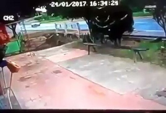 A melhor propaganda que a Coca-Cola fez até hoje