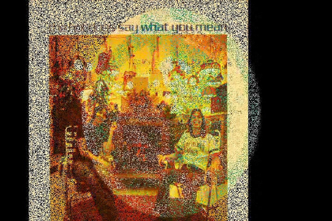 The Hot Dogs "Thanks" 1973 US Country Rock